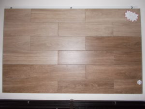 DSCN0587